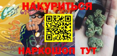 индика Пенза