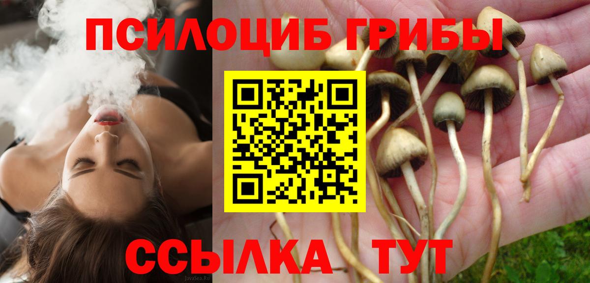 Галлюциногенные грибы мухоморы  закладка  Галлюциногенные грибы Psilocybe  Шелехов  Вход с VPN 